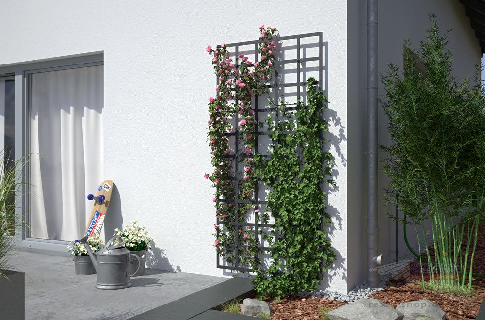 REXOdesign Rankhilfe: das attraktive Pflanzengitter für die Hauswand.